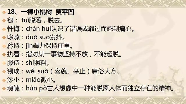 澳门一肖中100%期期准47神枪-讲解词语解释释义