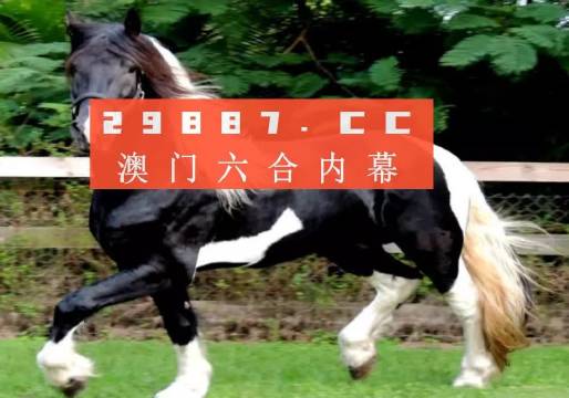 澳门香港一肖一码一中一特免费公开-全面释义解释落实