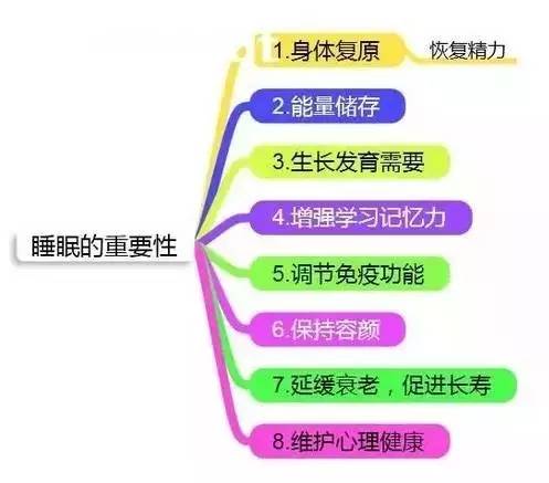 排油丸一个月能瘦多少，深度解析与个体差异考量