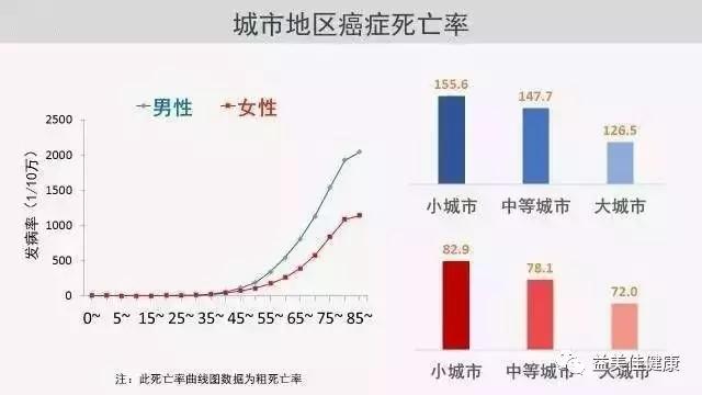 广东省低应变检测考核，提升技术能力的关键一环