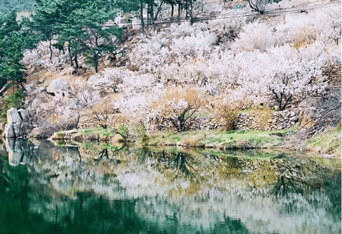 广东省三日游，清明节的踏青之旅